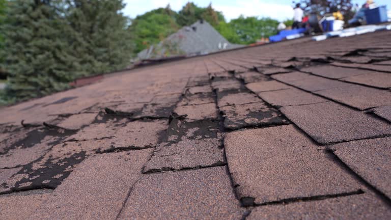 Best EPDM Roofing  in Gonzales, TX
