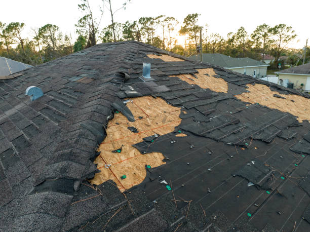 Best Roof Insulation Installation  in Gonzales, TX